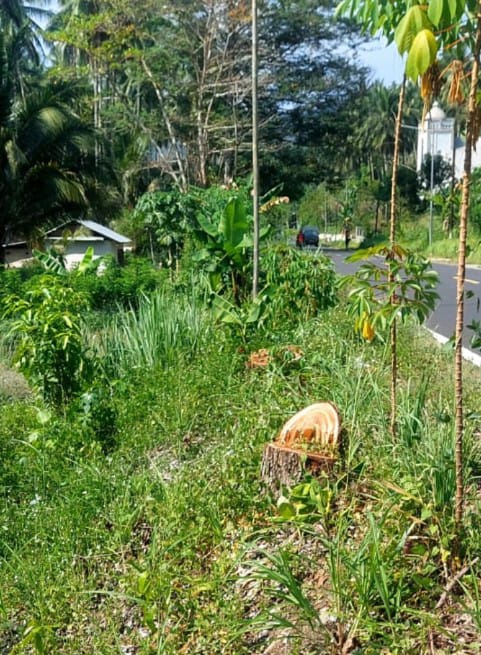 IMG-20260430-WA0078